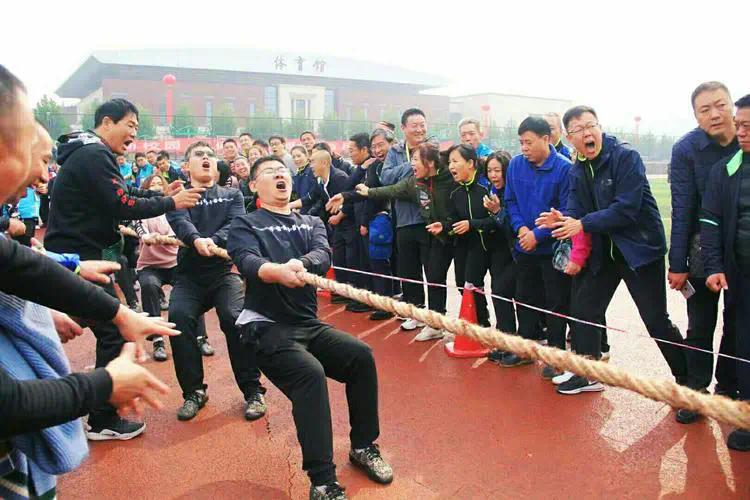 灵活运动、无惧雨雪：踏步机是户外运动的替代者